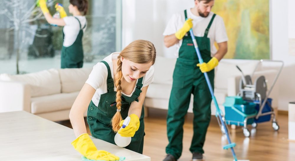 professional cleaning services