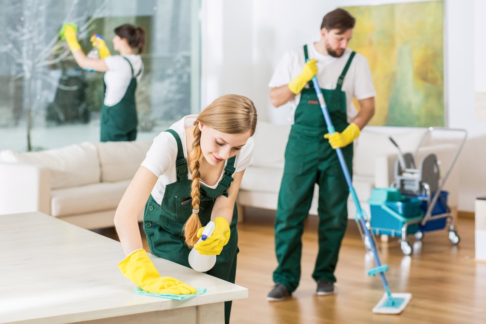 professional cleaning services